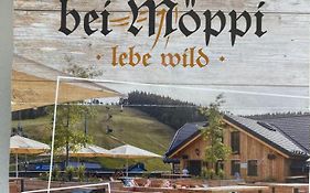 Am Skilift Möppis Hütte